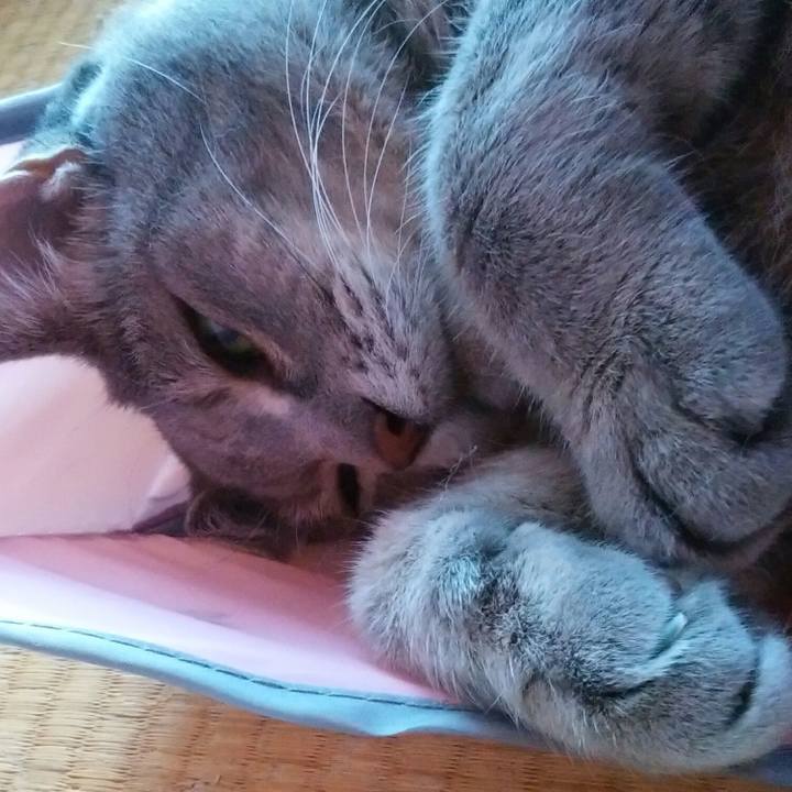 01ee5b48 bfca 4b86 8364 77495c4203c5 1537598798158