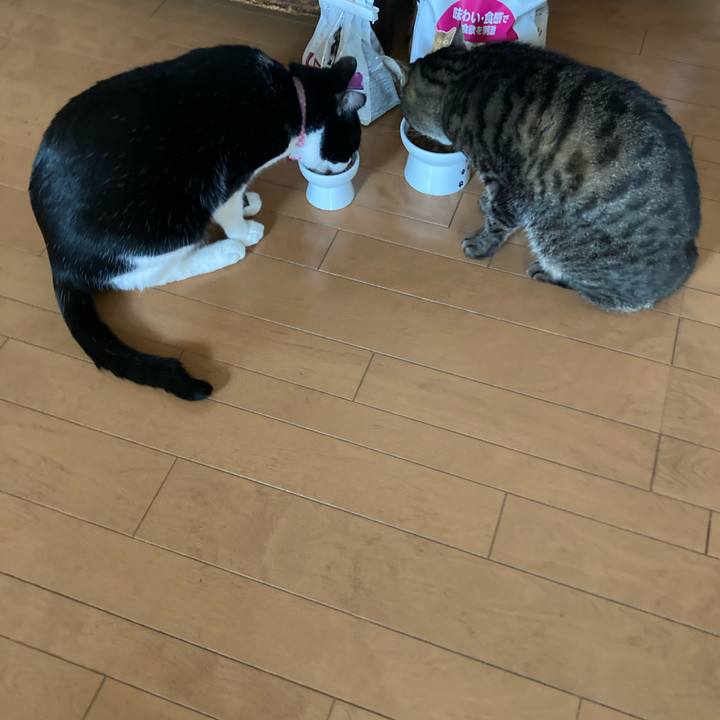 01ee6cd8 4f3c 412e a67d 2df06d4f5980 1667274915894