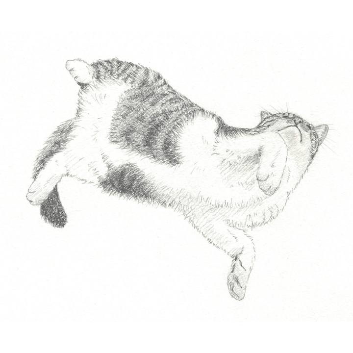 01ee7b3c 049b 4970 9b3c b115041dd11e 1543239581280