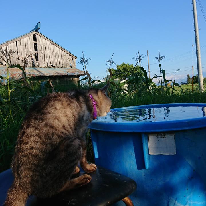 01ee83a9 c474 4c77 a3c9 907a347a63d3 1598255873659