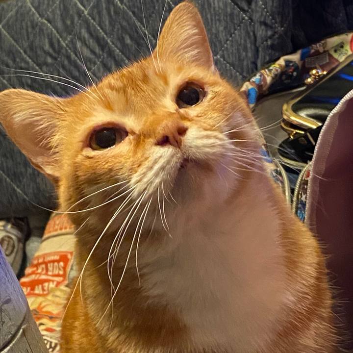 01ee9165 66ab 46d1 8d7f 0e61e9c0b57b 1578844000952