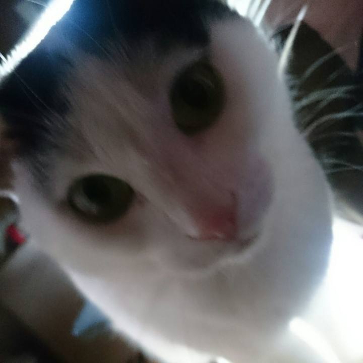 01ee9df2 4cd1 43ab b9df 2bfb0e70eb85 1511383121050