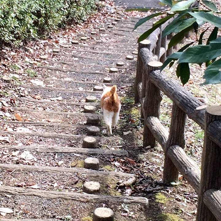 01ee9f44 aeda 4ada a83a 60e389fcd338 1578733498259