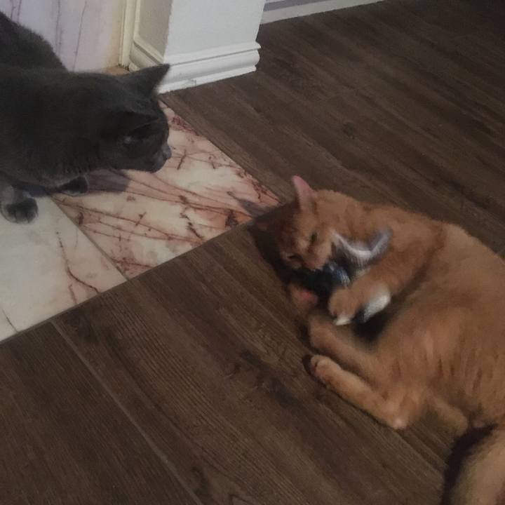 01eee2bf ec70 4600 bd0c 39418cb4b52b 1655256899141