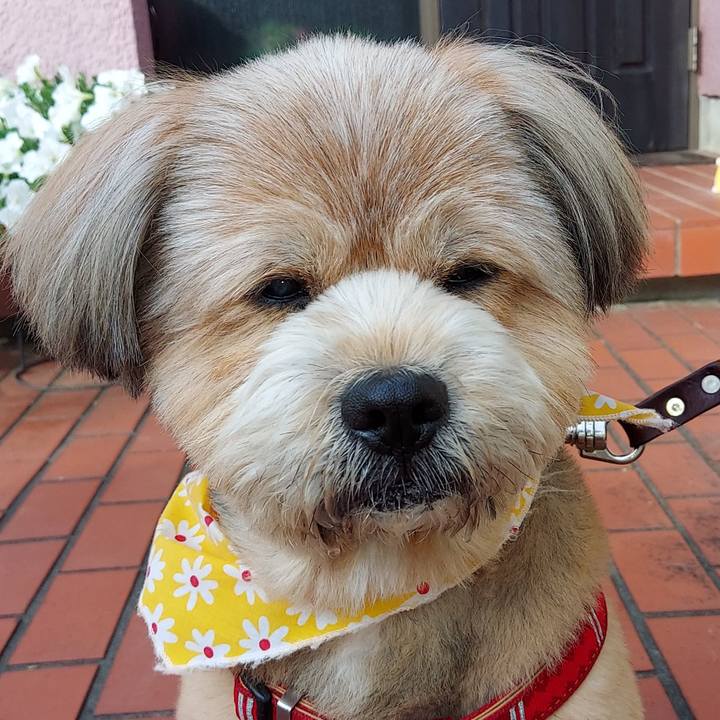 01eefa79 8cad 473e 84ce fff179cb555f 1621990627341