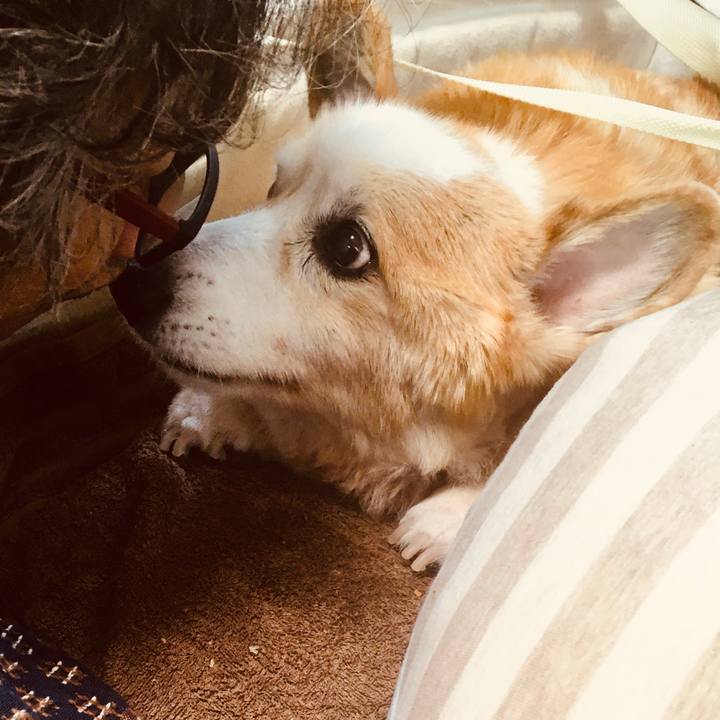 01ef102f 0495 4cb8 8fa5 5f7a74468b23 1610500016128