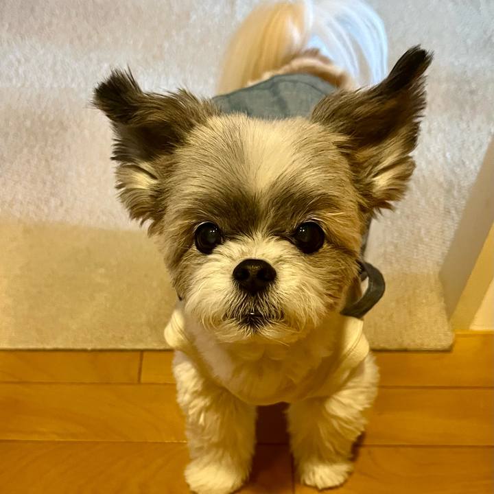 01ef5009 5ec3 4d5c 8b46 ee560849acd2 1771750049045