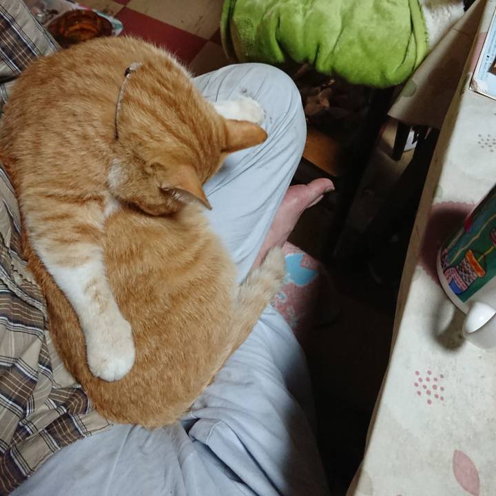 01ef536c 3214 4332 95a6 bfc1c1ffe20c 1590957879147