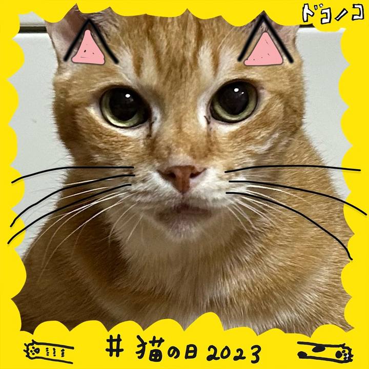 01ef53b5 7b4c 4eb6 8f81 601322fdc3e5 1677062476022