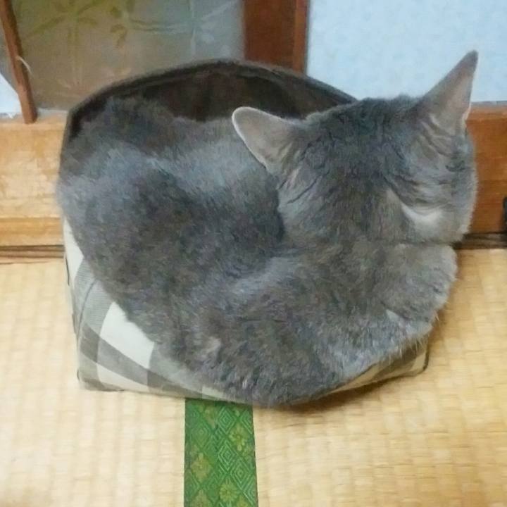 01ef6ba0 f044 40df a473 3ea49e7d1318 1592828077924