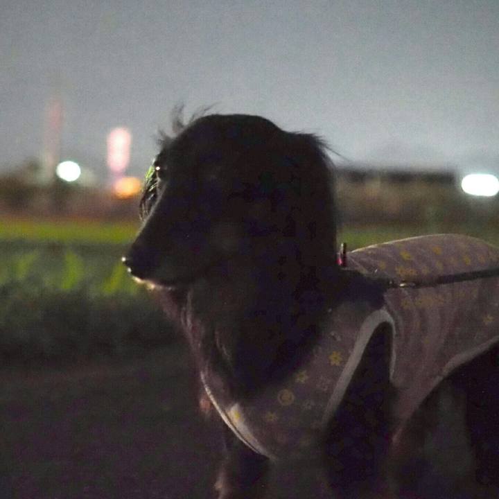 01ef9d6f afe0 48b3 9196 eaf131f0b060 1594558547058