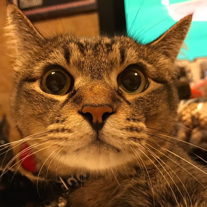 01efa660 16b6 42c4 b92f e6dc6c036f75 1532817197276