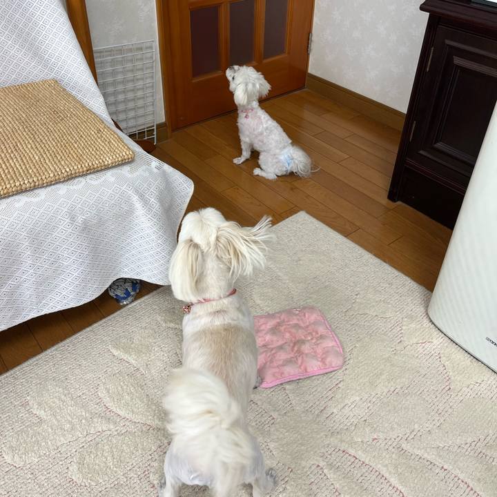 01efaa34 9f47 465f be46 37fed4556907 1723036247986