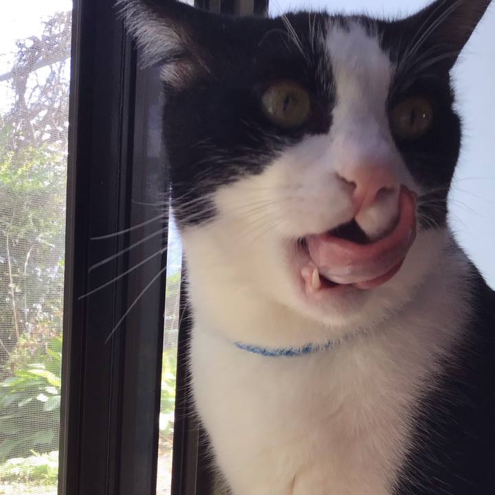 01efc20b e03e 49d7 b1fb c95adc0c0276 1696496263957