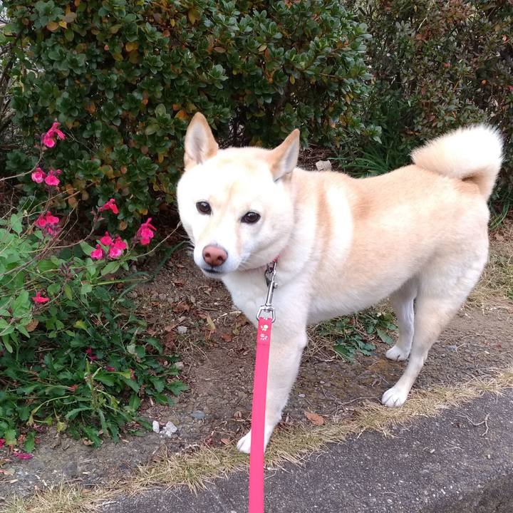 01efd047 3b36 4904 beb6 18b346736bc7 1607834087154