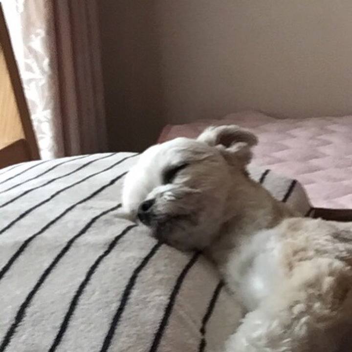 01efdea5 4c14 482b bfdb d261decc7f31 1552197193402