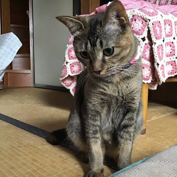 01f00247 42ad 44ff b648 aafbddd2d20a 1597181310207