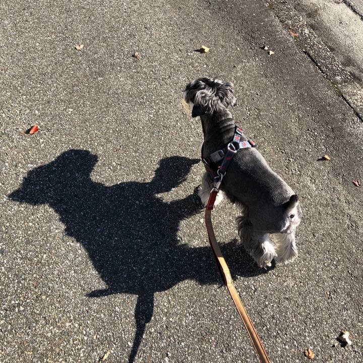 01f004f5 65ee 4ff7 98ad de82a456eff0 1667441547448