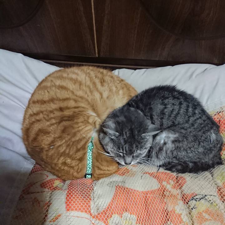 01f04e69 c190 4ba5 a220 23710197a0d6 1580817834030