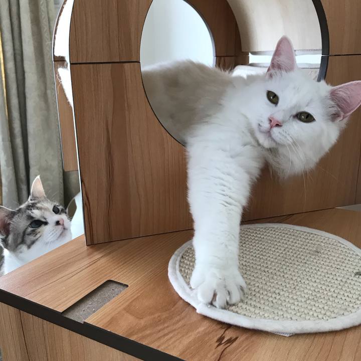 01f05495 76eb 4ff4 8181 3ed069f16273 1529381703310