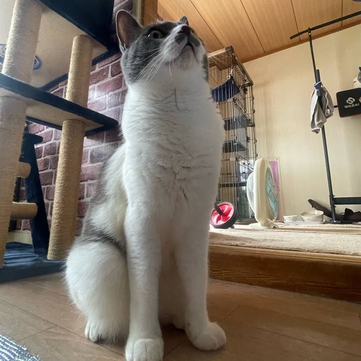 01f0644e 08ba 4e64 9446 c3e1e55117e0 1722406190215