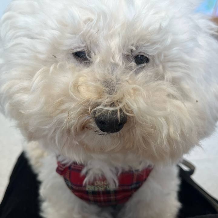 01f07d67 b842 497b 8985 241a076aa7fd 1770430551029