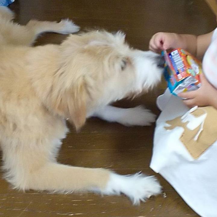 01f07d81 2a0f 4a27 89a7 0594cd7257ec 1532766876440