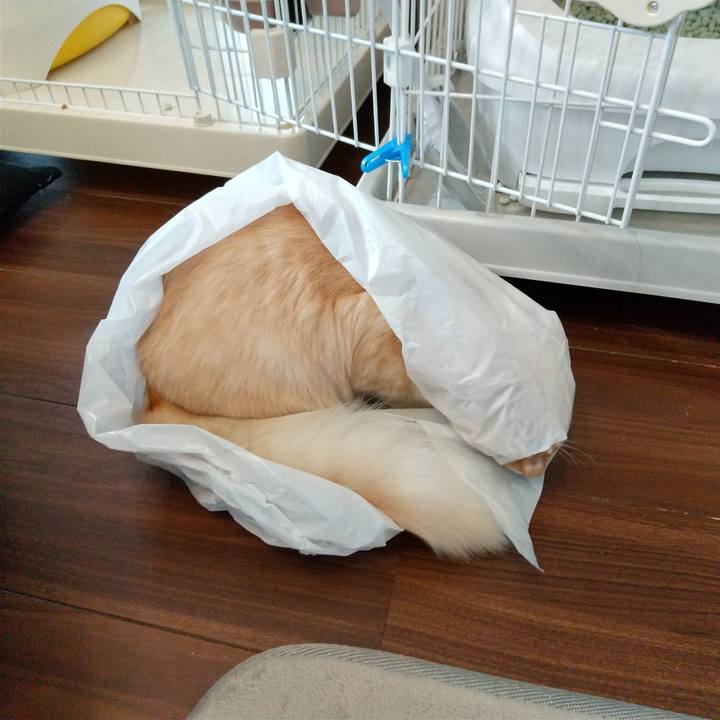 01f08e43 c5d8 4adb 9e18 290171a4e903 1616025102717