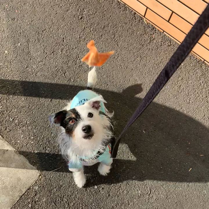 01f0a30a f1d1 4a61 8147 b73ab9fd70df 1667867468189