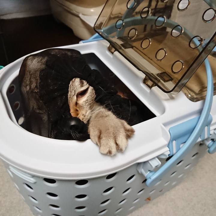 01f109e7 b341 4dfe 8ccc 07b652ace4dd 1561802190752