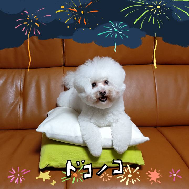 01f1250d 1b5c 44a2 8414 b548ee31708c 1723642666521