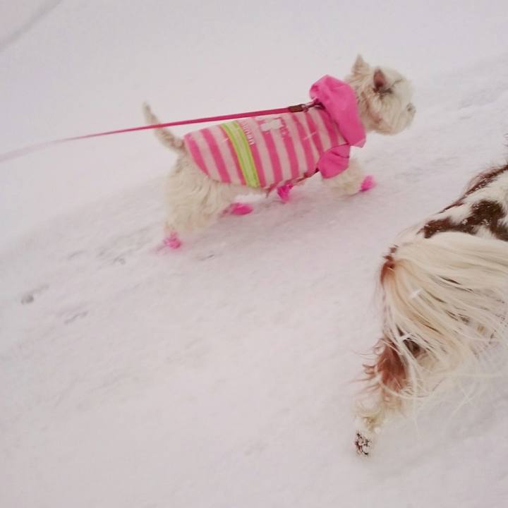 01f143fd 8483 4ffa bbe4 0154c8252f6a 1516956529788