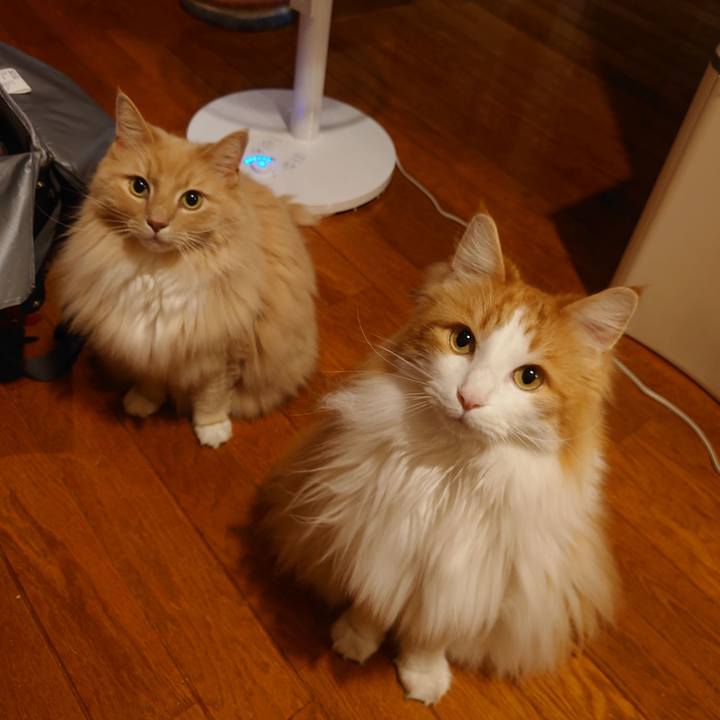 01f14a51 bfb9 41dc 95d2 98170ff8e71e 1654391978534