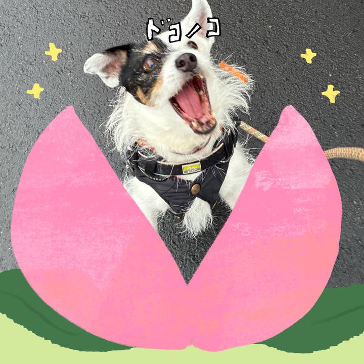 01f18f1b ff09 4751 92f6 f4723a09c07b 1772449382194