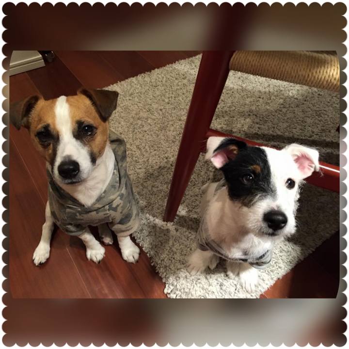 01f1b754 df1b 4abf ba26 309c654870db 1520894472360