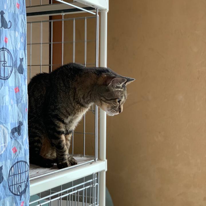 01f1ccb6 e756 4958 a0ff 862a3914b738 1593566579045