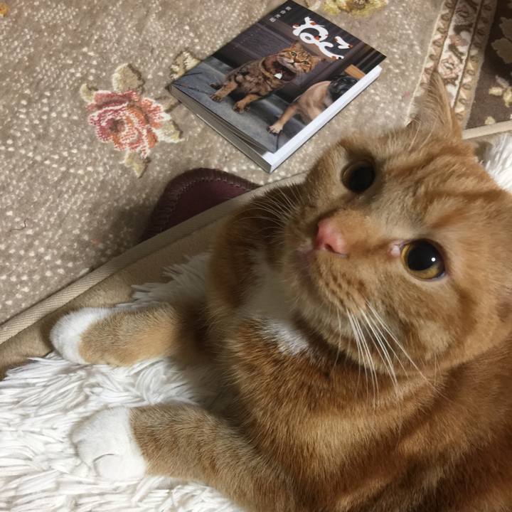 01f1f33d 2da6 4b7f 9bf7 af1aaa9fc26a 1517178501786