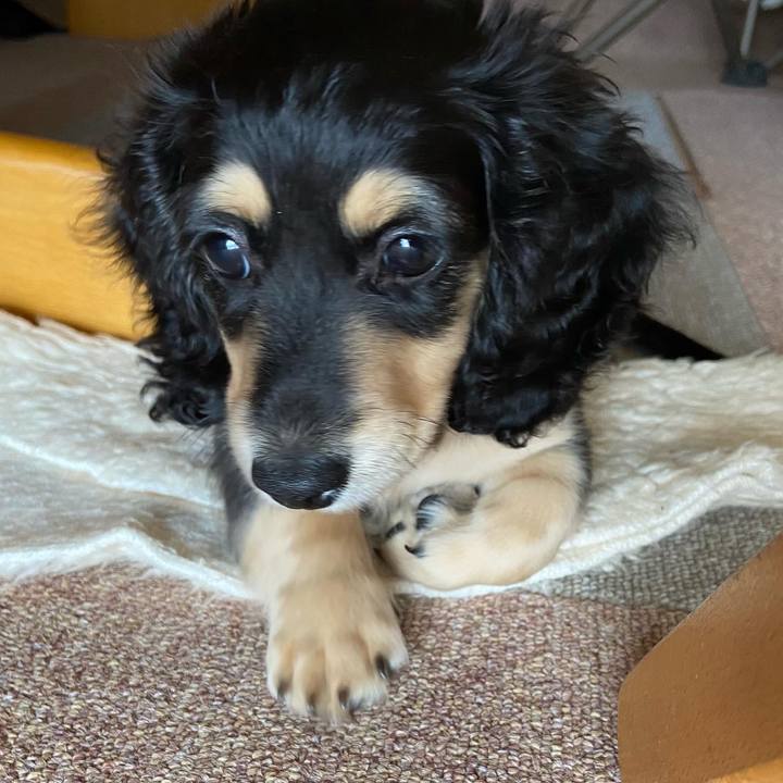 01f25955 7c49 44e4 b34f 955e842ec68d 1665280389203