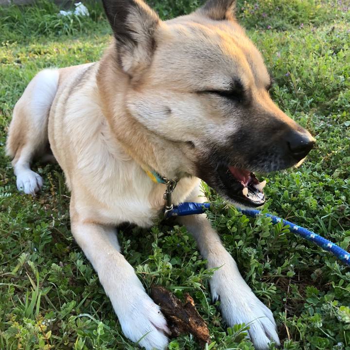 01f2671e 474e 4b8a a971 4426d4c823e7 1551095671256