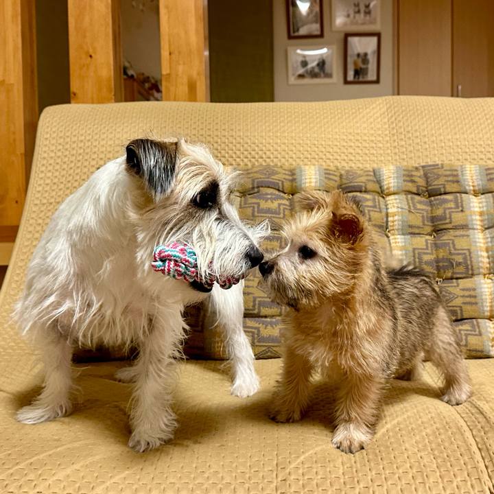 01f26c65 d5fb 4325 bbe0 6f992e2c2772 1701185799260