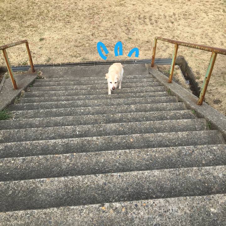 01f27517 ac56 49e0 ae39 7c25aeb6d4c2 1522566232700