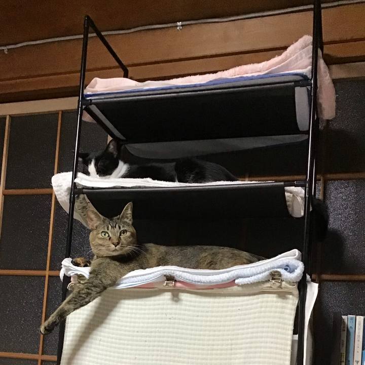 01f2d44e 7a2a 48d8 87c3 90b7c754f993 1635585269532