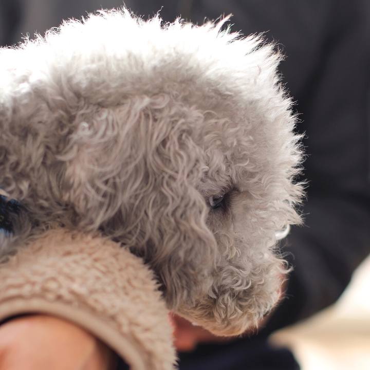 01f2f42e ca22 44e4 ad89 870e1bee8681 1578145759775