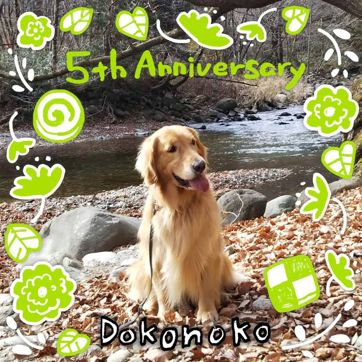 01f301d5 cdc9 466d b934 efa7e787accf 1623064903833