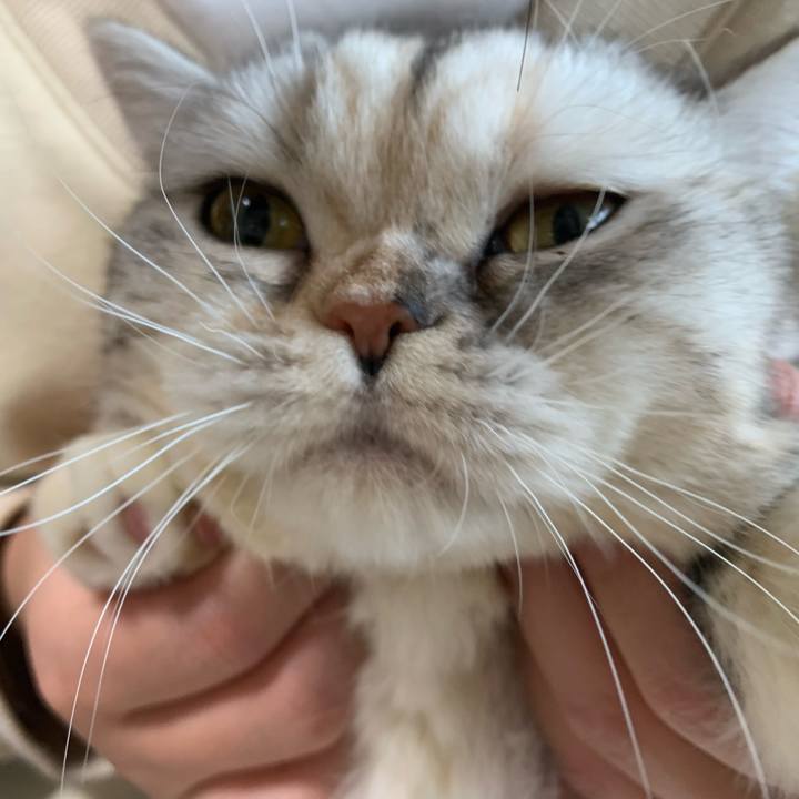 01f326ec 6e42 456a 8ee6 c783e208e9bb 1709120140900