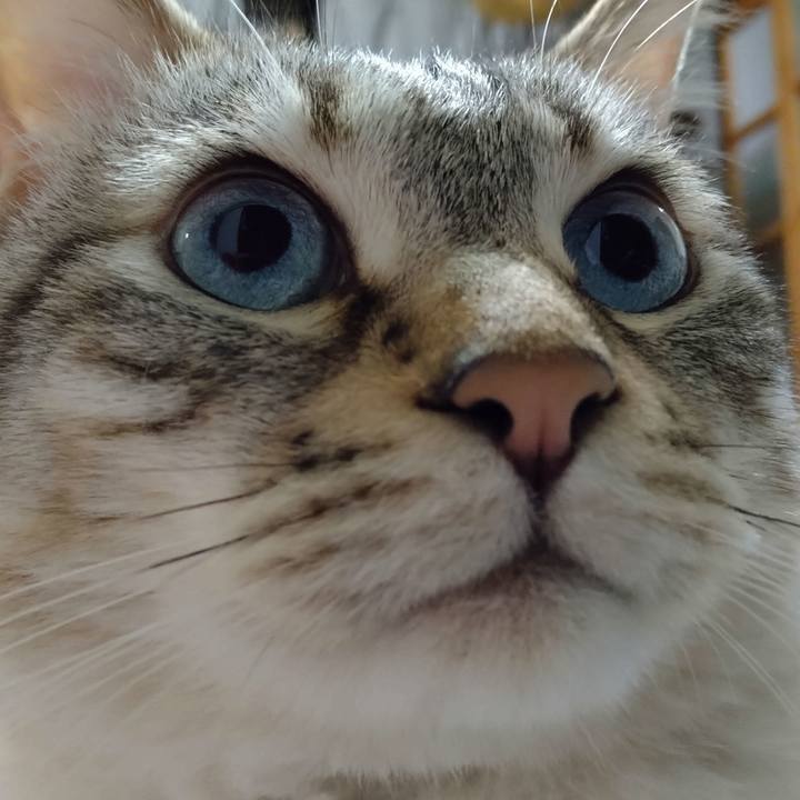 01f33bc0 9246 485a bfe5 f85b5928d73a 1620659783768