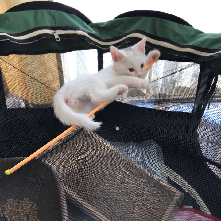 01f35ef5 e60e 4ed0 833a 6e4678b79639 1565005849746