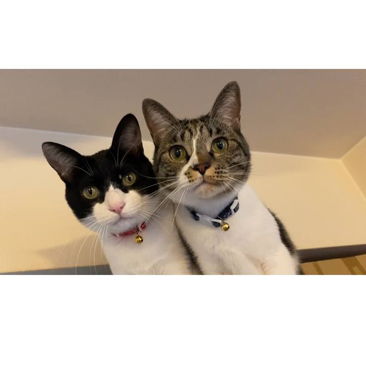 01f36591 ff19 43ac 8943 a9a8aa2d0575 1731212998652