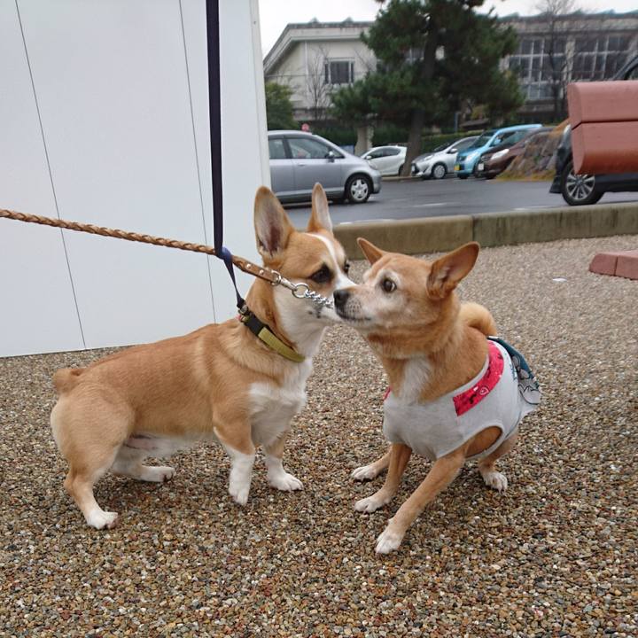 01f3aaf6 60ff 4482 aaff a66a9c47bbbf 1576645525074