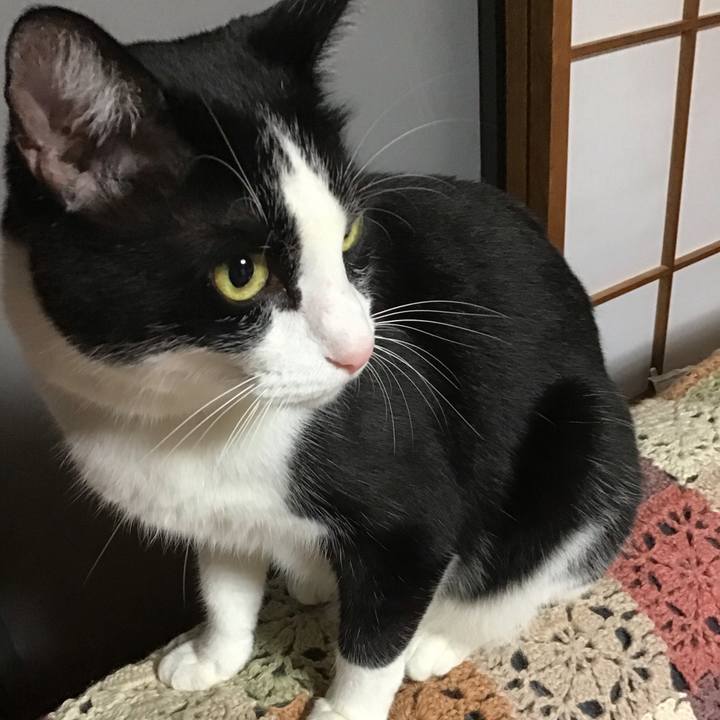 01f3b8a9 3a73 4b81 8af2 6eee2de2fc4d 1727176379374